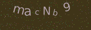 Validation image