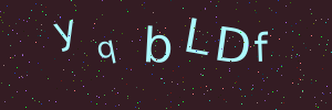 Validation image