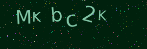 Validation image
