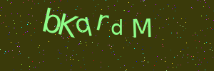 Validation image