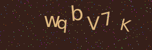 Validation image