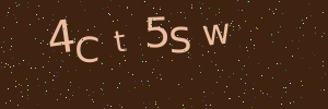 Validation image