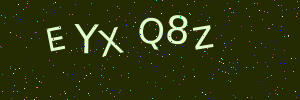Validation image