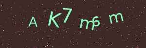 Validation image