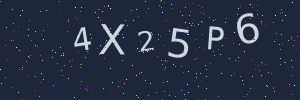 Validation image