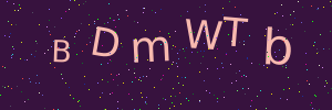 Validation image