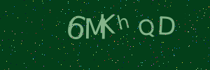 Validation image