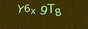 Validation image