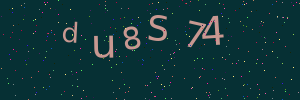 Validation image