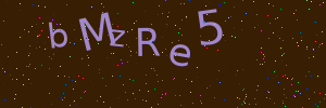 Validation image