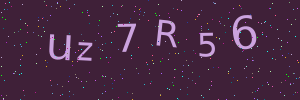 Validation image