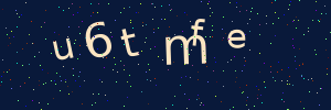 Validation image