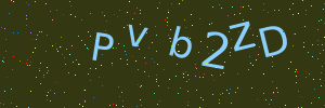 Validation image